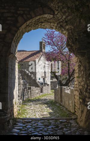 Archway under passage in the ruins of the old church and city walls in Stari Bar town near Bar city, Montenegro Stock Photo