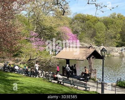 Central Park melodies: musicians turning the city’s heart into a concert hal Stock Photo