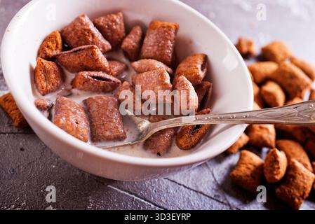 Chocolate corn pads with milk in bowl Stock Photo