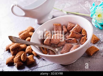 Chocolate corn pads with milk in bowl Stock Photo