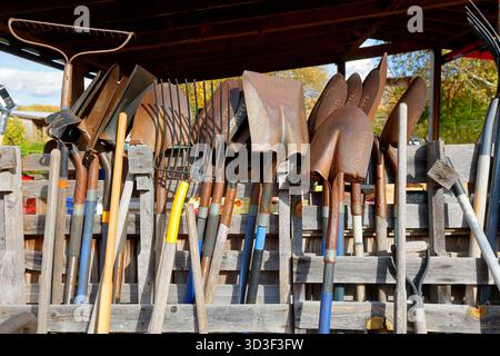 Rusty shovels and farm tools leaning against a fence. Stock Photo
