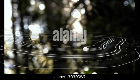 Floating irregular white contour lines layering woodland scene, digital data visualization Stock Photo