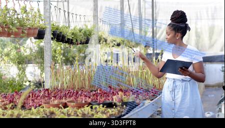 Inspecting woman in white top, skirt holding tablet stylus by plants in nursery aisle, copy space Stock Photo