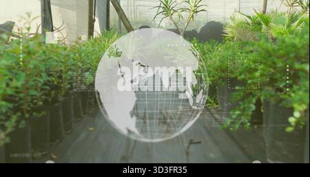 Hovering translucent globe showing interface icons above greenhouse mat walkway with potted shrubs Stock Photo