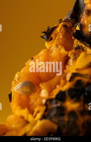 A detailed close-up of a pumpkin's inner texture reveals seeds and vibrant orange flesh against a warm yellow background, emphasizing the essence of a Stock Photo