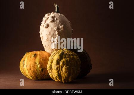 A collection of decorative pumpkins in various shapes and colors, including white, yellow, and green, are artfully arranged on a dark brown background Stock Photo