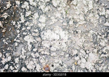 Close-up of a cracked, white concrete surface with a rough and grunge texture. The weathered material reveals intricate patterns and organic detail, p Stock Photo