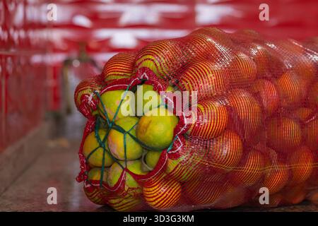 Mesh bag with organic oranges in stock. Fresh organic juicy oranges fruit in plastic net bag for sale. Stock Photo