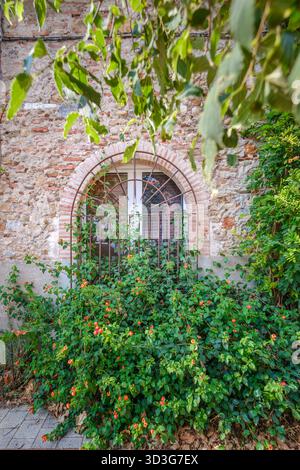 Arched window with decorative iron grating in an old weathered stone and brick wall, framed by dense green foliage and small orange flowers Stock Photo