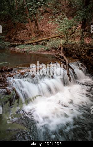 A river flowing through the forest with a small waterfall. Stock Photo
