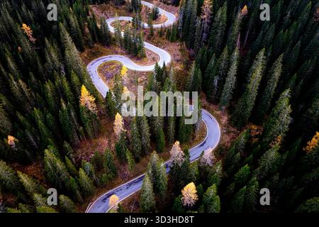 Spectacular aerial drone view of winding mountain road to Passo Giau in the Dolomites, surrounded by vibrant golden autumn larch trees. Stock Photo