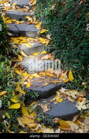 Autumn Path Garden Pathway Foothpath Walkway, Fallen leaves on Stepping Stones Way Stock Photo
