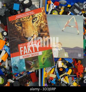 A book laying on Lego bricks Stock Photo