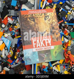 A book laying on Lego bricks Stock Photo