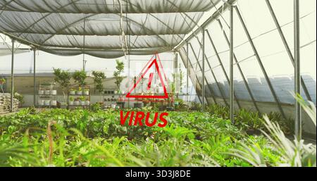 Displaying red triangular warning sign marking virus risk inside greenhouse, with seedling trays Stock Photo