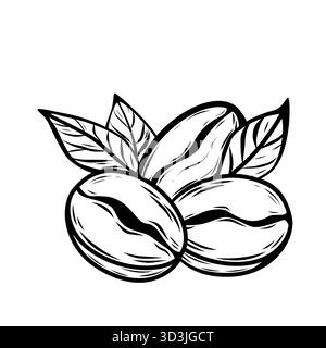Black outline vector with three coffee beans and leaves in minimalist line art style. Perfect icon for cafe logo, packaging, or branding use. Stock Vector