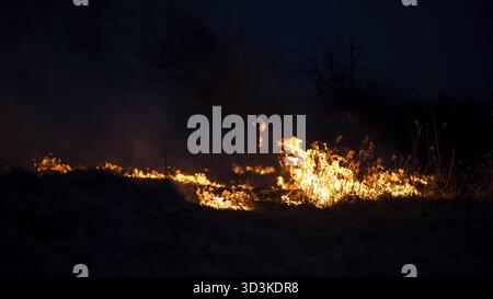 Nature on fire, night shot. Arson and fire, disaster and extreme events themes Stock Photo