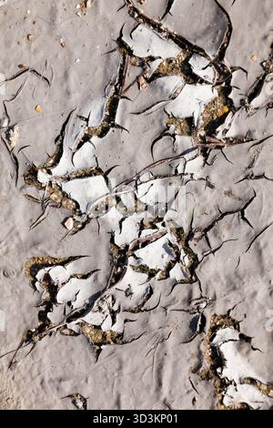 Cracked dry ground. Dried mud with cracks in the sand. Stock Photo