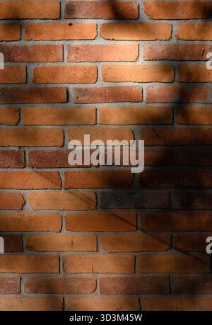 Red brick wall in soft light with delicate shadows from leaves and branches. Brick texture and light play create a cozy autumn background full of dept Stock Photo
