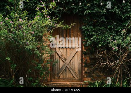 Rustic Wooden Door Surrounded by Green Plants and Brick Wall Stock Photo