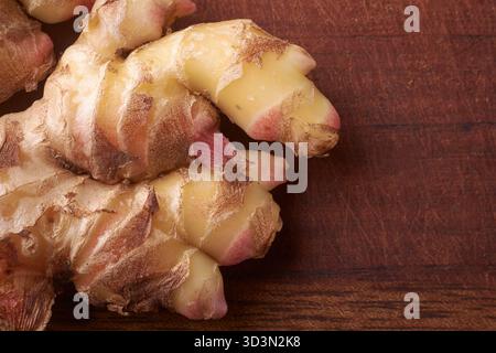 fresh ginger rhizomes on dark wood surface, pale yellow root with reddish-pink tips, macro close-up in low-key lighting and copy space for text Stock Photo