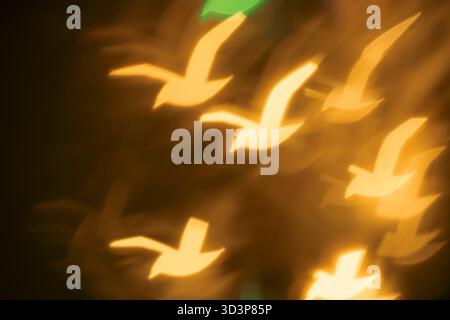 Photo Yellow and green seagull bokeh on black background – abstract flying bird holiday background, front view. Stock Photo