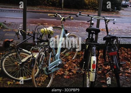 bikes by yellow leaves on a rainy day Stock Photo