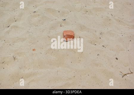 Single red brick lies on dry sandy surface, contrasting with natural debris and highlighting human presence in an outdoor setting. Stock Photo