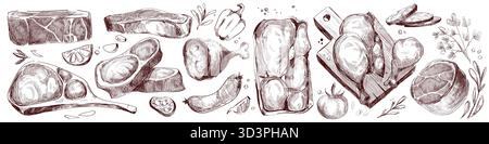 Raw meat cuts sketch set with beef steak, pork pieces, chicken drumstick and vegetables. Hand drawn vector illustrations of fresh ingredients - sausages and herbs, garlic and peppers for culinary. Stock Vector