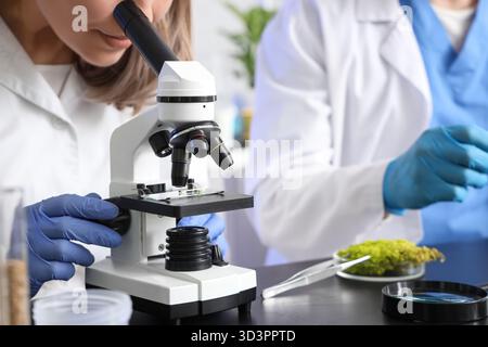 Female agricultural engineer looking through microscope in laboratory, closeup Stock Photo