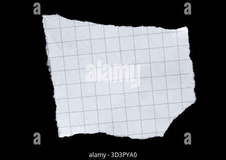 Torn graph paper piece isolated on black background Stock Photo