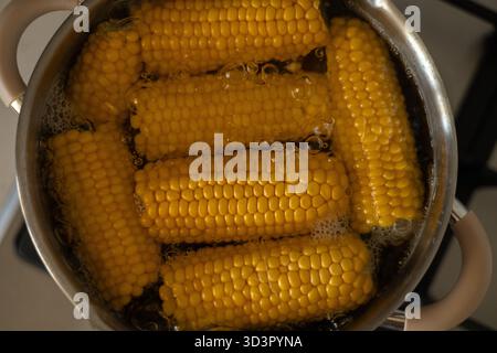 Top view of several corn cobs boiling in a pot filled with water on a kitchen stove, ready for a nutritious and delicious meal at home. Stock Photo