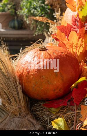 A vibrant pumpkin sits among autumn leaves and wheat stalks, creating a rustic and festive decoration, perfect for seasonal displays or cosmetic-theme Stock Photo