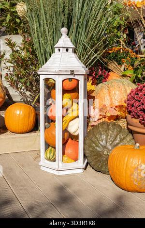 A decorative white lantern showcasing a variety of small, colorful pumpkins and gourds. Surrounded by autumn foliage and vibrant fall flowers, it crea Stock Photo