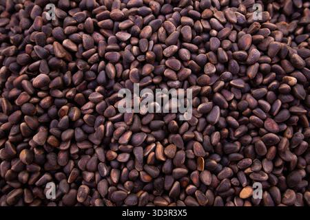 A close-up image showcasing an assortment of pine nuts in their shell, highlighting their natural earthy tones and unique textures. Perfect for culina Stock Photo