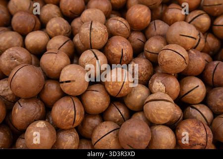A collection of unshelled macadamia nuts showcasing their natural patterns and textures. The nuts are in close-up, revealing the rich brown tones and Stock Photo