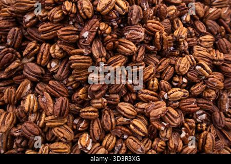 A detailed close-up image showcasing a pile of fresh pecans. The earthy tones highlight their rich texture, perfect for culinary use. Stock Photo