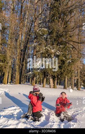 Two women in winter gear enjoy a playful snowball fight in a snowy forest. The sun shines on the snow-covered ground, casting shadows and highlighting Stock Photo