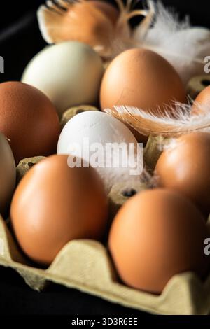 A dozen fresh farm eggs in a carton surrounded by delicate feathers. The variety of brown and white eggs reflects a natural, organic farming approach, Stock Photo