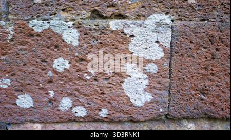 Old volcanic stone wall with lichen texture and natural colors Stock Photo