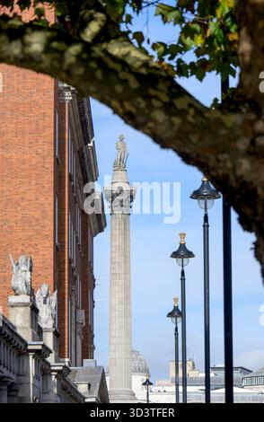 London, UK. Nelson's Column seen from Whitehall under the branch of a London Plane tree Stock Photo