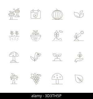 Precision-engineered 16 Thin Line vector icons for Botany, designed at Retina Ready Display Perfect resolution for exceptional clarity and scalability Stock Vector