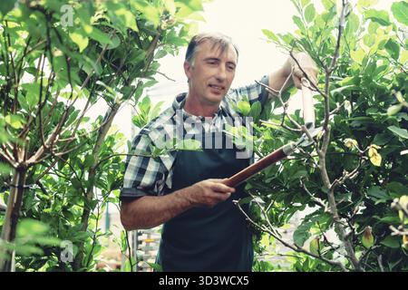 Man with garden shears cutting bushes and trees in garden Stock Photo