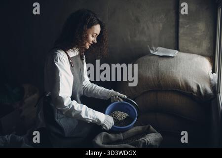 Green coffee beans in burlap sack and woman roaster with scoop Stock Photo