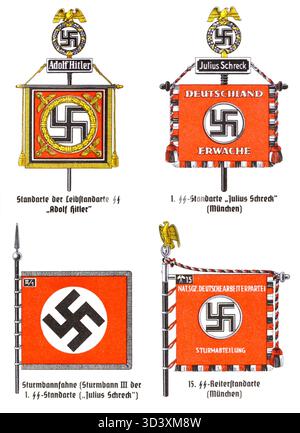 Ss Color Members Color plate from the 1943 Organisationsbuch der NSDAP showing Waffen-SS ...