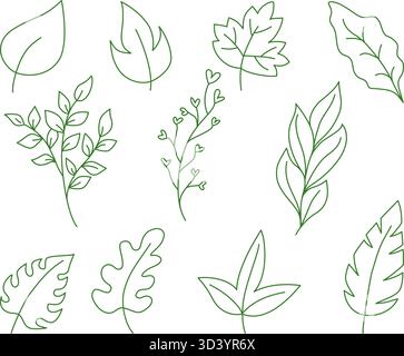 Hand drawn thin line green leaves and foliage vector set. Collection of simple outline botanical elements and floral design Stock Vector