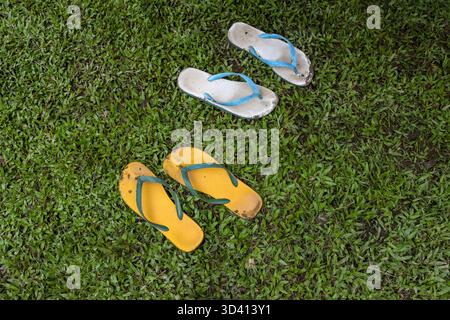 Two pair of colorful yellow and blue flip flop sandal shoe on green grass lawn. casual, carefree summer feeling captured outdoor, suggesting rest afte Stock Photo