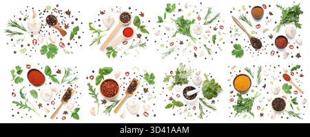 Set of many different herbs and spices on white background, top view Stock Photo