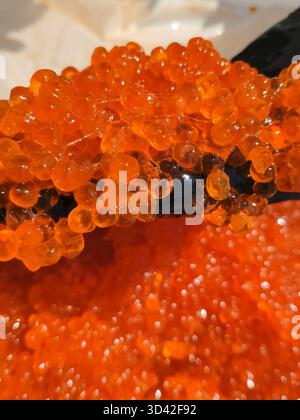 Mixing eggs with a gloved hand. red caviar in a plastic container. Salmon caviar, diet food. Stock Photo