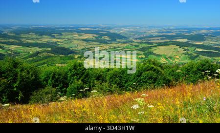 The hills and meadows of Transylvania are colourful in late spring. An endless landscape of diverse hues. The deep blue sky above adds to the vibrant Stock Photo